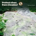 thumbnail image 2 of Harvest Guard Freeze Protection Plant Cover, Floating Frost Blanket for Outdoor Plants and Lawn Seed Germination, Reusable Garden Fabric Plant Cover Warmer for Harsh Weather (5' x 50'), 2 of 6
