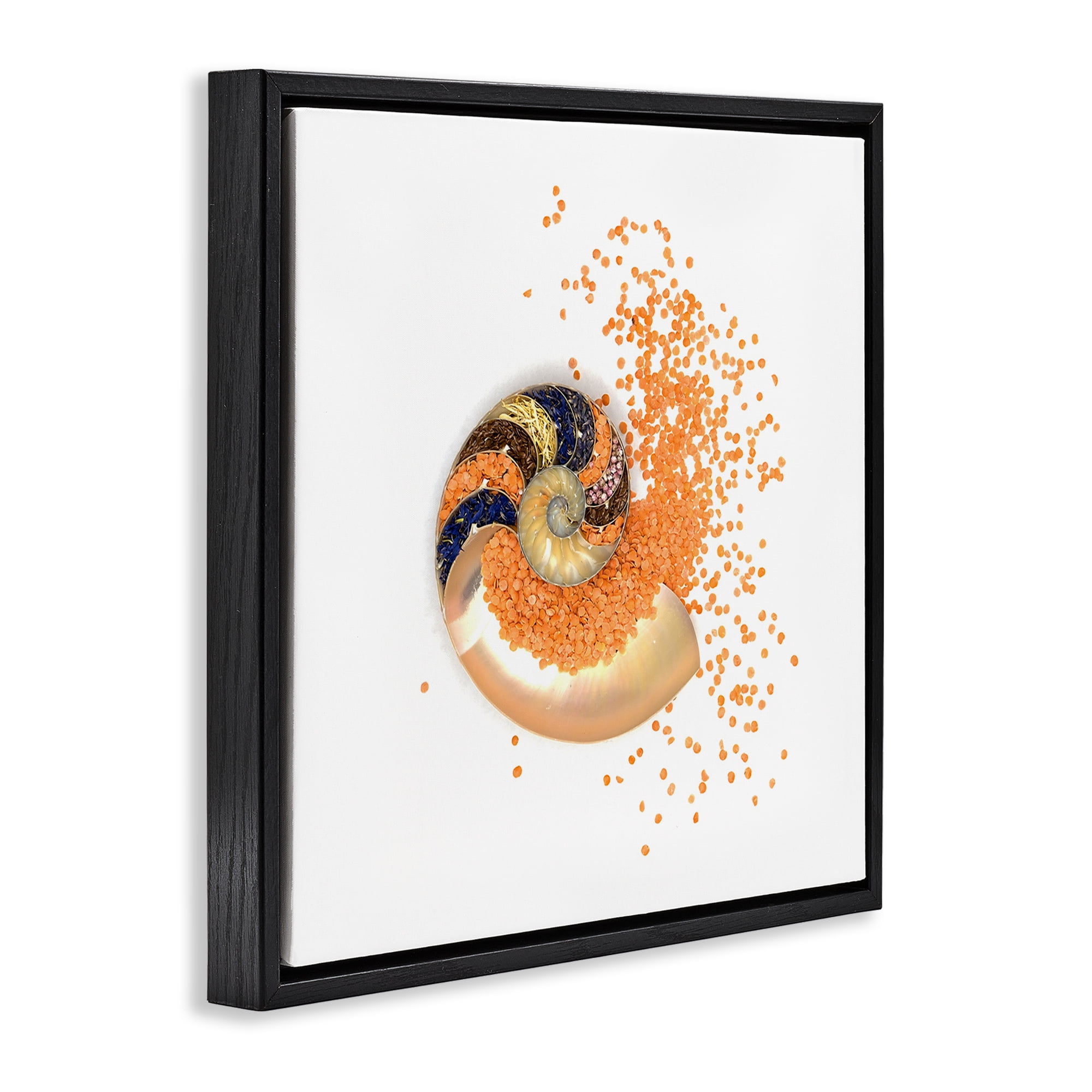 Stupell Industries Orange Nautilus Spiral Black Framed Floater Canvas Wall Art, design by Beth Adoette