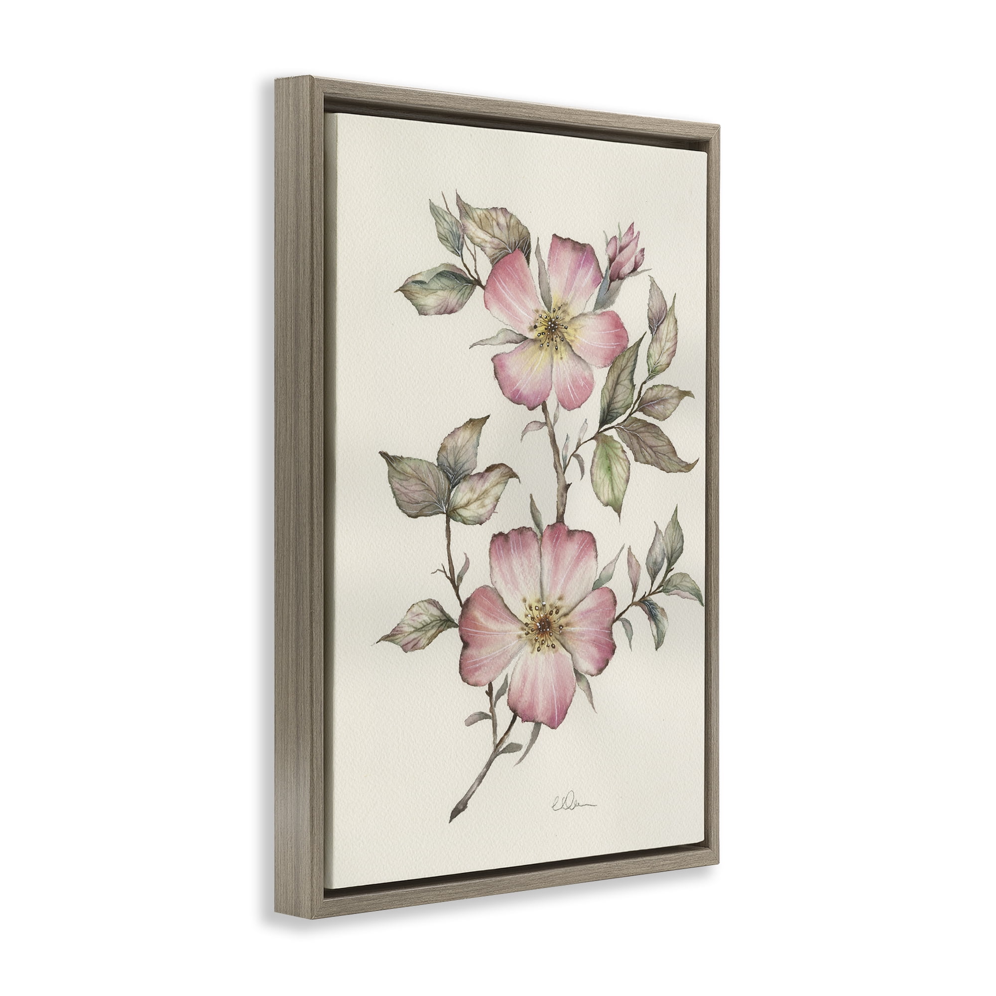Stupell Industries Two Flowers Natural Study Brown Framed Floater Canvas Wall Art, design by Cady Driver