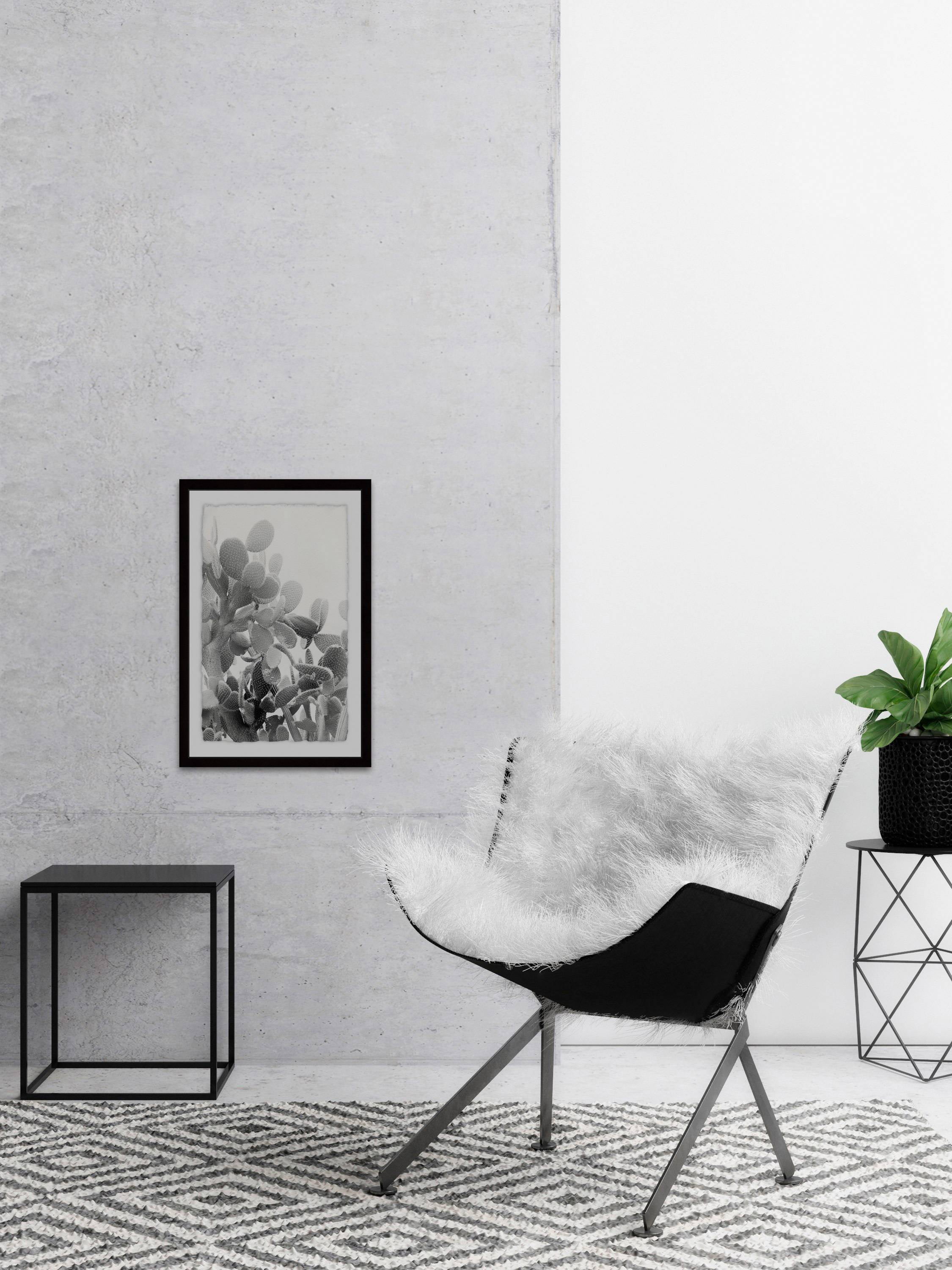 Round Succulent Stems Framed Painting Print