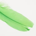 thumbnail image 3 of Set de decoración de pancartas y globos perfecl De Látex rico y Confeti Verde, 3 of 8