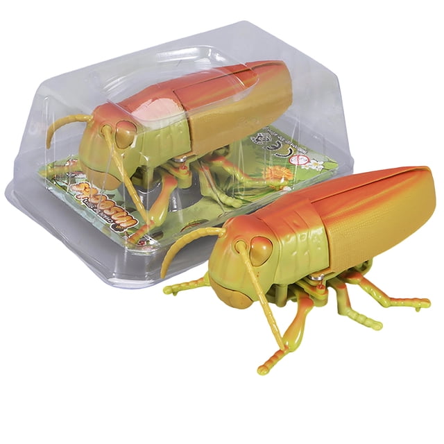Realistic Interactive Insect Toy Collection For Educational Play Indoor Outdoor Use
