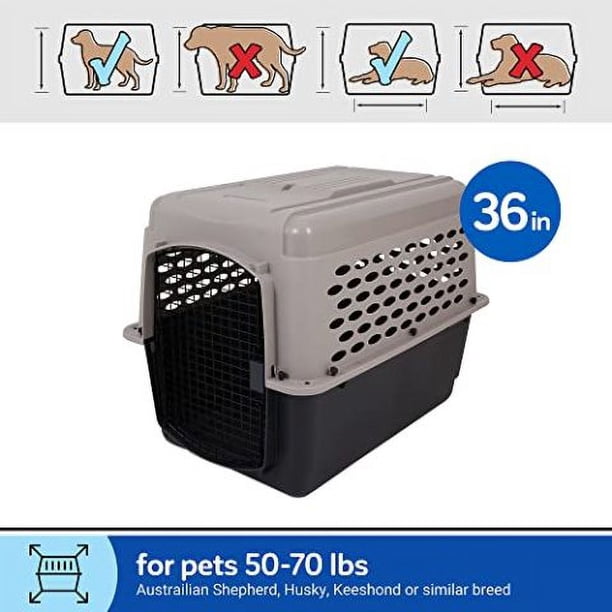 Petmate Vari Medium Plastic Portable Dog Kennel Airline Friendly