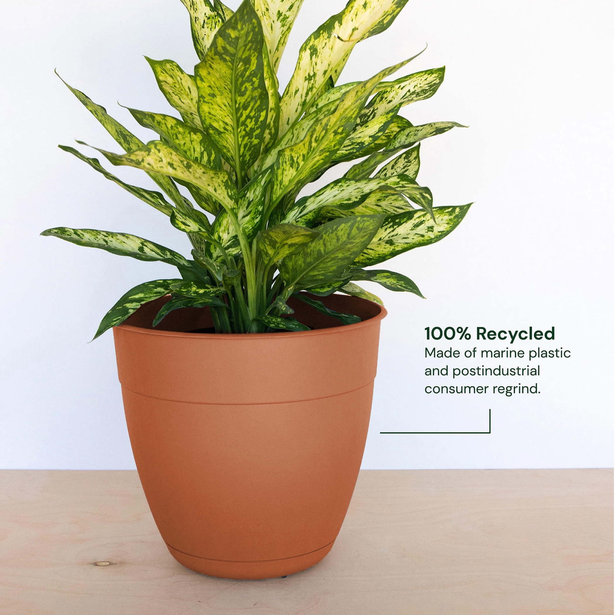 Bloem Dayton 6" Plastic Planter - 100% Recycled Plastic Indoor/Outdoor Garden Pot with Drainage Holes & Saucer Tray, Terra Cotta