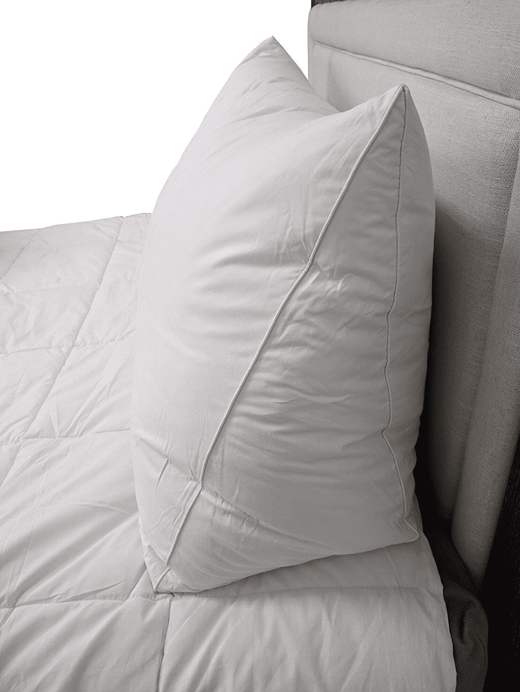 Pillowtex Feather and Down Reading Wedge Bed Pillow (18"x12"x36")