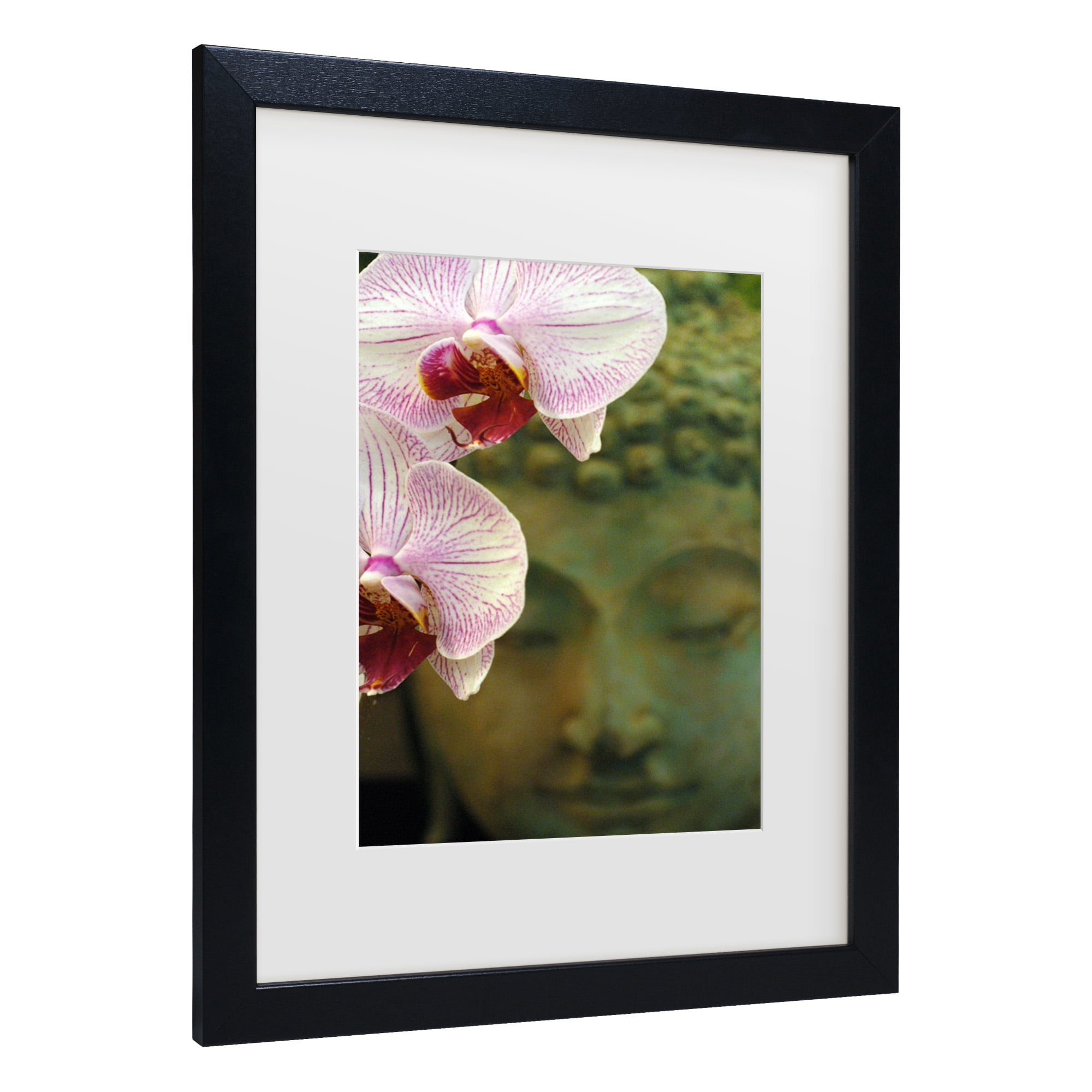 Trademark Fine Art 'Orchids and Buddha' Canvas Art by Kurt Shaffer