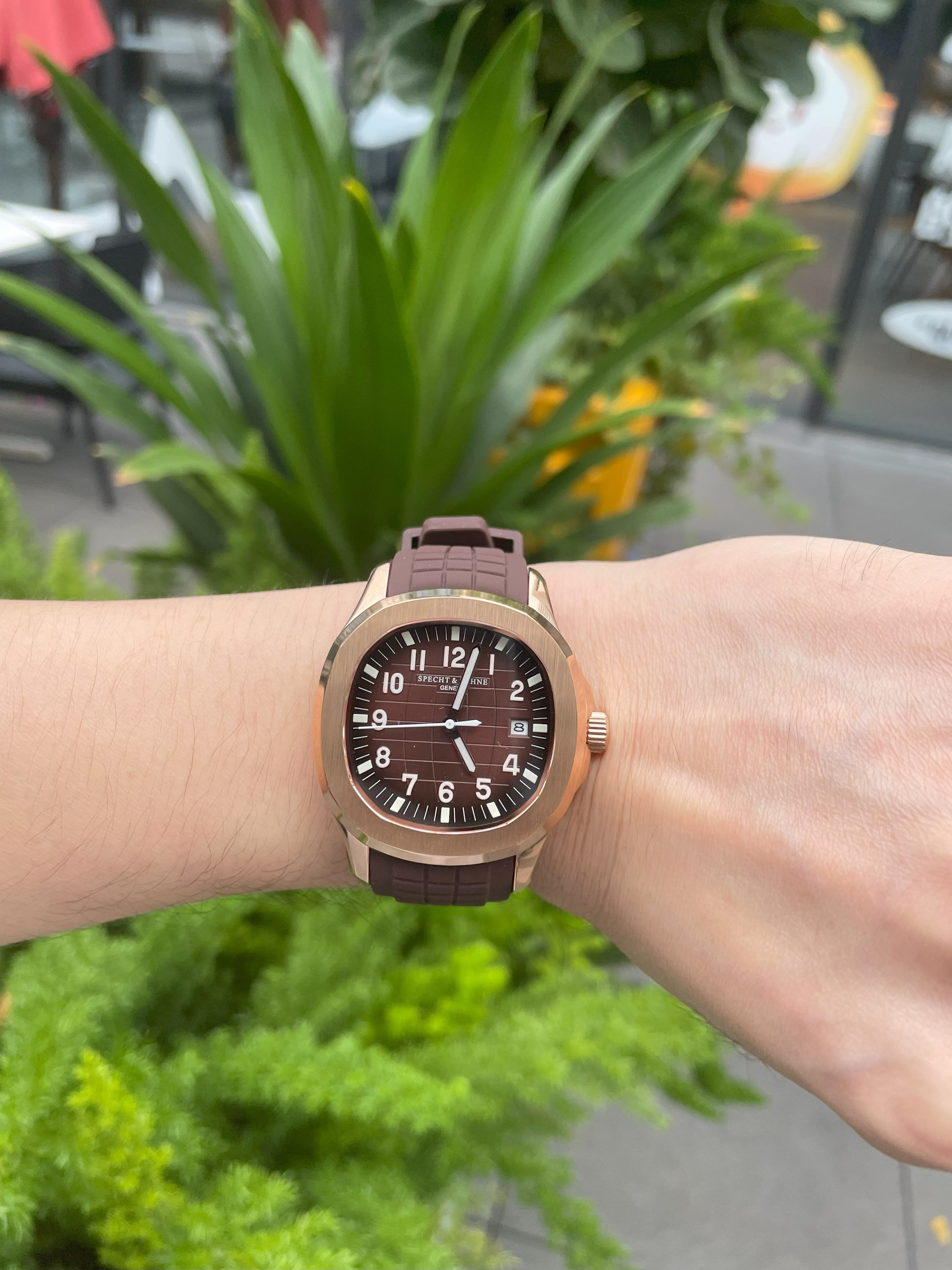 2024 Luxury Specht & Sohne Automatic Watches For Men Rubber Strap Miyota 8215 Movt Classic Sport Wrist Watch Relogio Masculino