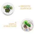 thumbnail image 4 of Glass Planter Pot Glass Succulents Pot Small Flowerpot Small Planter Container Clear Fish Bowl, 4 of 4