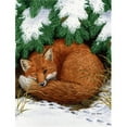 thumbnail image 1 of Carolines Treasures ASA2044CHF Fox Drapeau en Toile Taille Maison, 1 of 4
