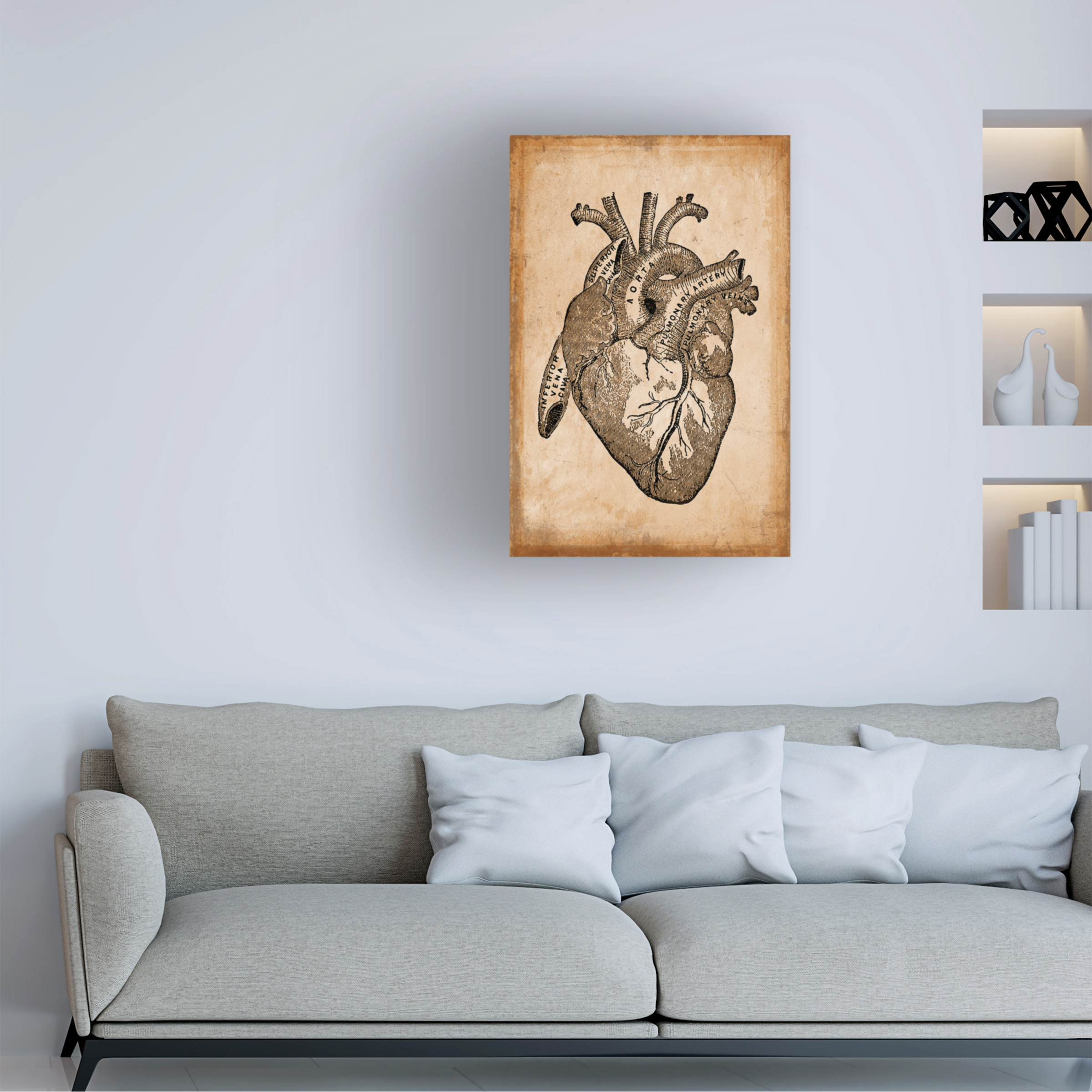 Trademark Fine Art 'Anatomy 8' Canvas Art by Vintage Lavoie