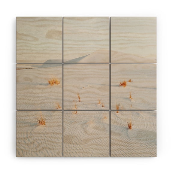 Society6 Kevin Russ White Sands National Monument 3' x 3' Wood Wall Mural