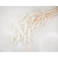 thumbnail image 3 of Raw Sola Wood Flowers - Centerpiece/Vase/Pot/Bouquet Fillers - -Bunny Tails (Bleached), 3 of 4