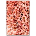 thumbnail image 1 of Picture-Tiles.com: Flowers Ceramic Tile Wall Mural WAL500644-46L. 32"W x 48"H using (24) 8" x 8" Ceramic Tiles-Satin Finish, 1 of 3