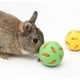 thumbnail image 2 of Treat Ball, Snack Ball para animales pequeños, 2 of 5
