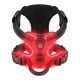 thumbnail image 1 of Villabliss Arnés para perros con luz - Arnés para perros LED recargable para caminar nocturno Tres modos de iluminación intermitente durante más de 20 horas Tela Oxford (rojo/pequeño), 1 of 1