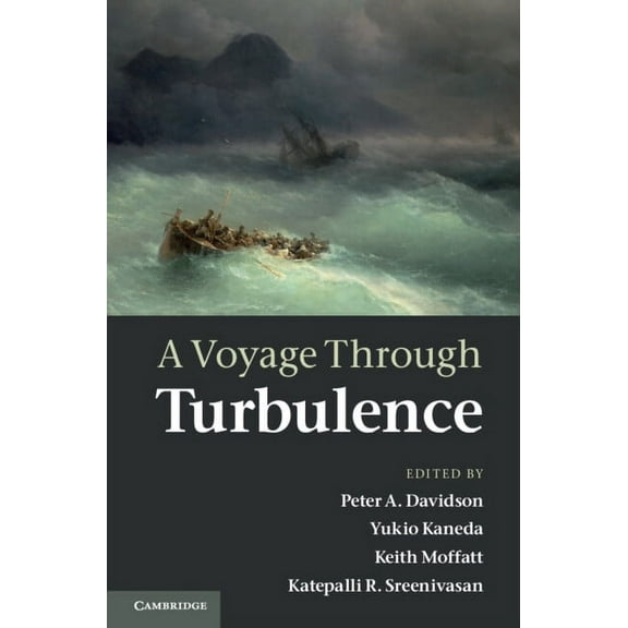 A Voyage Through Turbulence, (Hardcover)