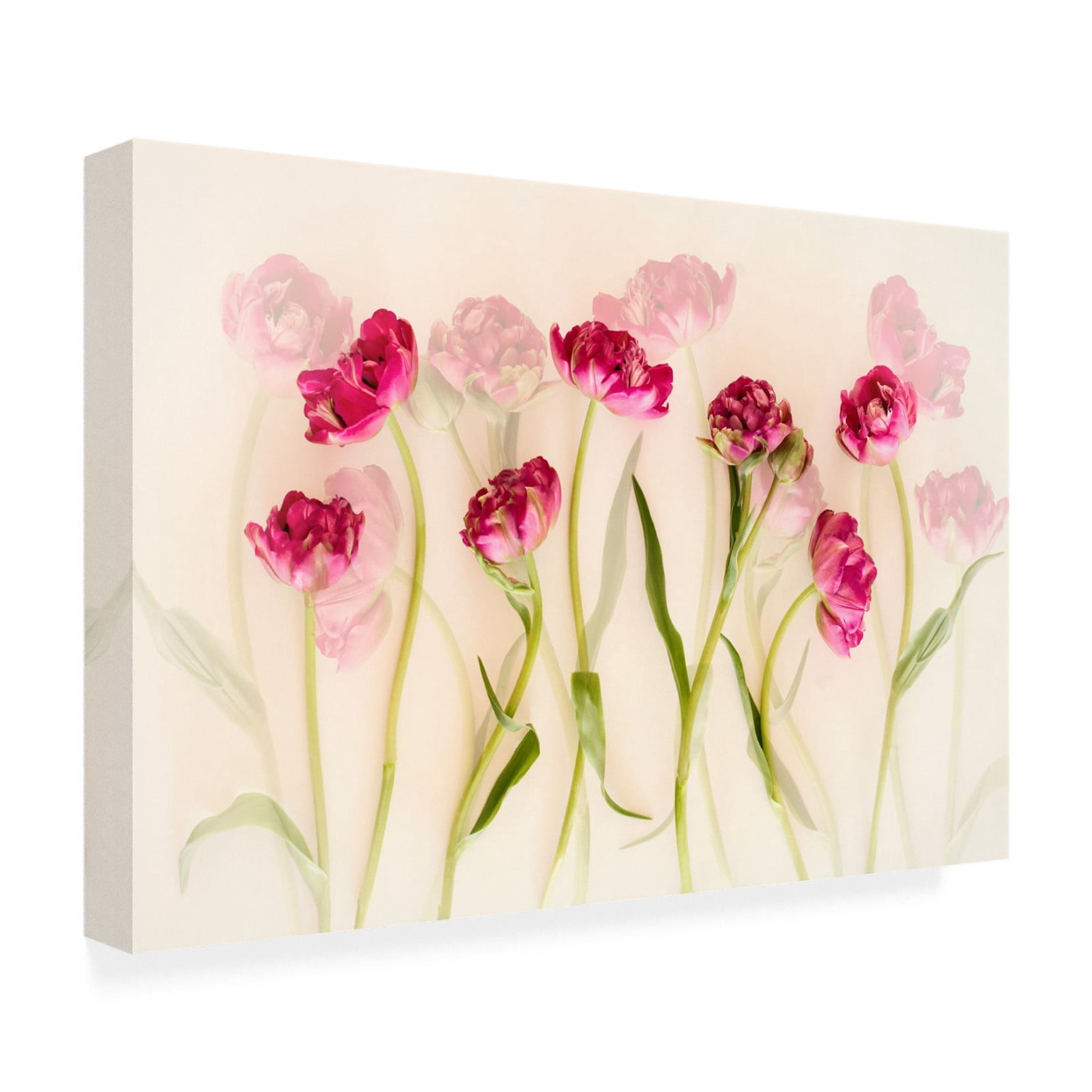 Canvas Wall Art - Ellen Van Deelen 'Tulips' Wall Art for Living Room, Bedroom, or Office Décor by Trademark Fine Art - 47 x 30 Inches