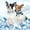 Article 2, variant on Dog Cooling Bandana Neck Wrap - Instant Chill Reusable Ice Vest for All-Season Use, Adjustable for Small Medium Large Dogs, Hook and Loop Closure for Summer Heat Relief