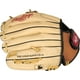 thumbnail image 5 of Guante de béisbol Rawlings SURE CATCH T-Ball & Youth 10.5, 5 of 6