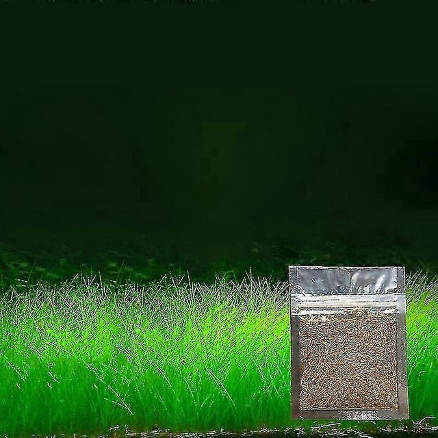 Aquarium Ornament Plant Seeds Fish Tank Landscape Decoration Water Grass Seed Easy To Grow