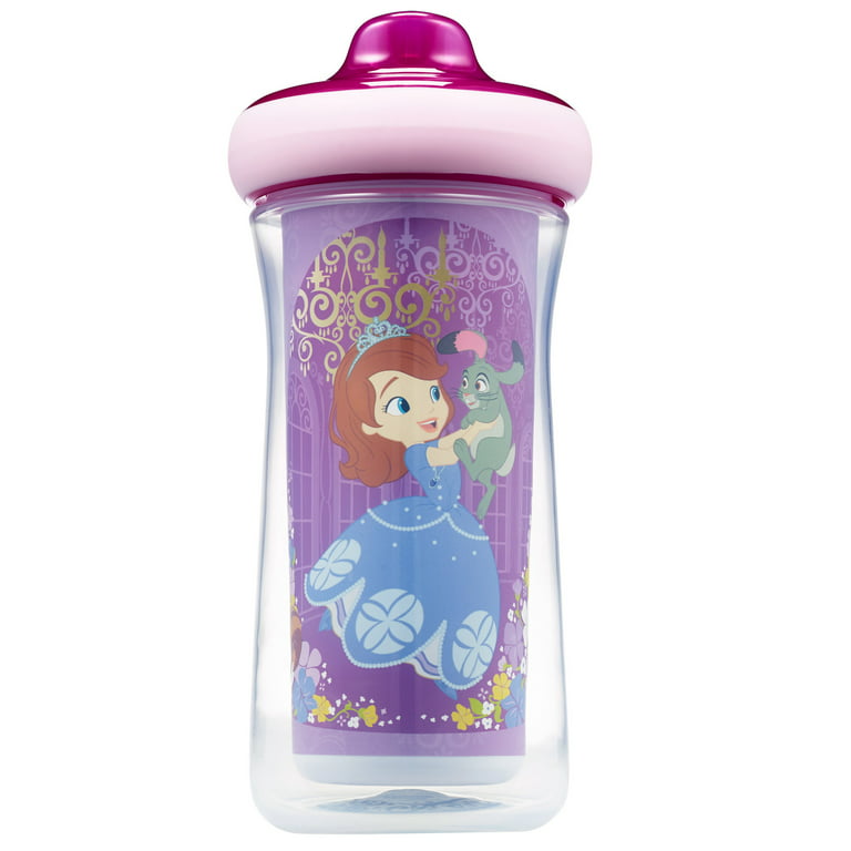 Disney Minnie Mouse Insulated Hard Spout Sippy Cups With One Piece Lid, 9  Oz, 2 Pk - Walmart.com
