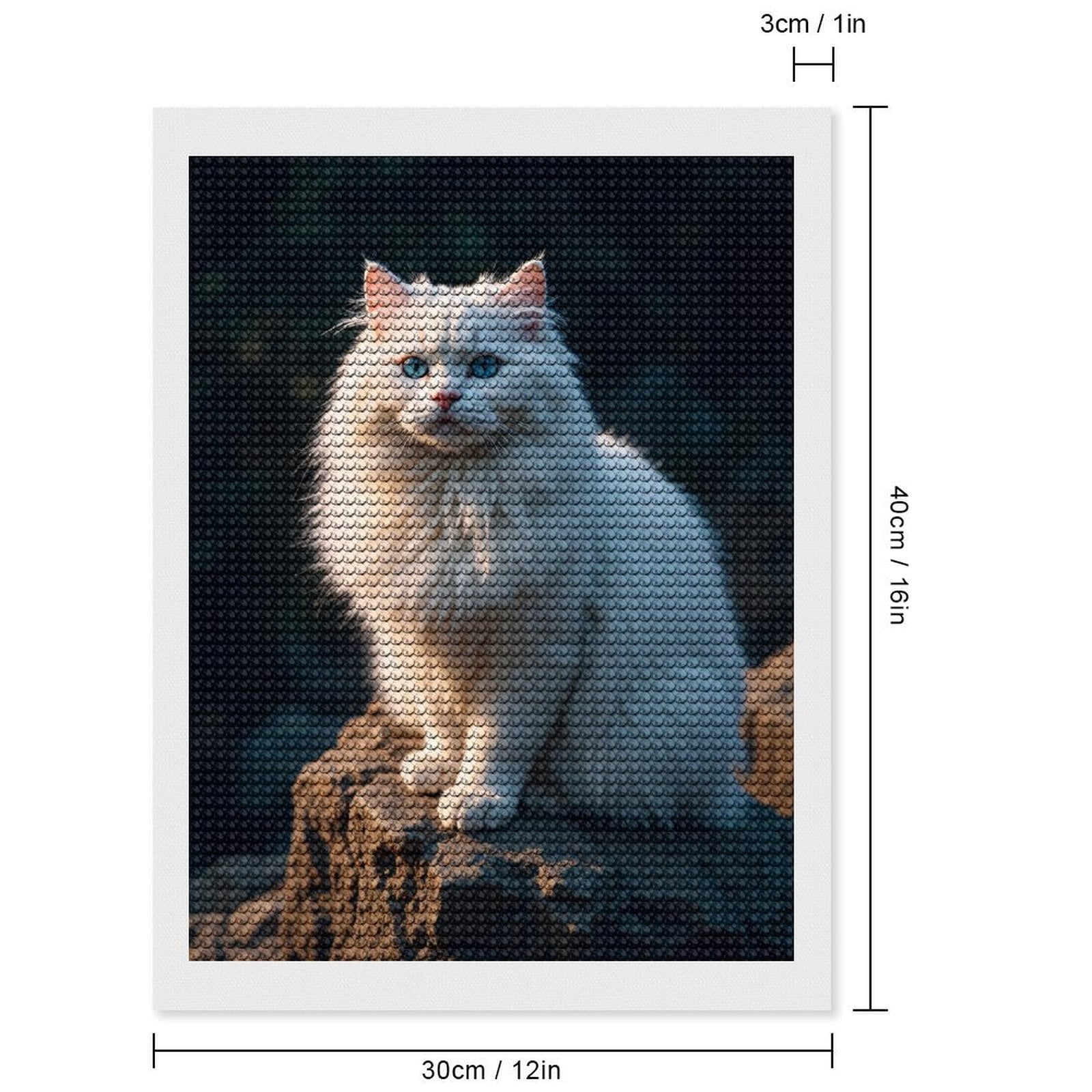 Diamond Art Kits for Adults, White Cat Blue Eyes Sunlit Rock 5D Diamond Painting Kits for Adults Beginners, DIY Full Drill Diamond Painting, Gem Art and Crafts 12x16
