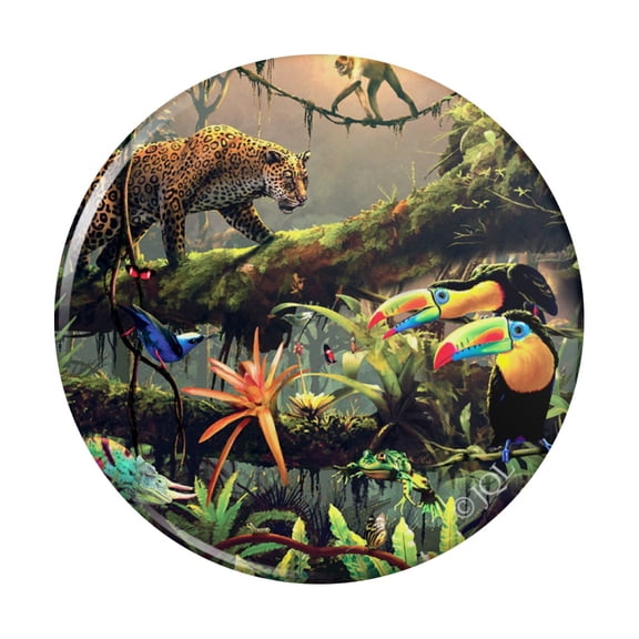 Jungle Life Leopard Cat Toucans Monkeys Kitchen Refrigerator Locker Button Magnet