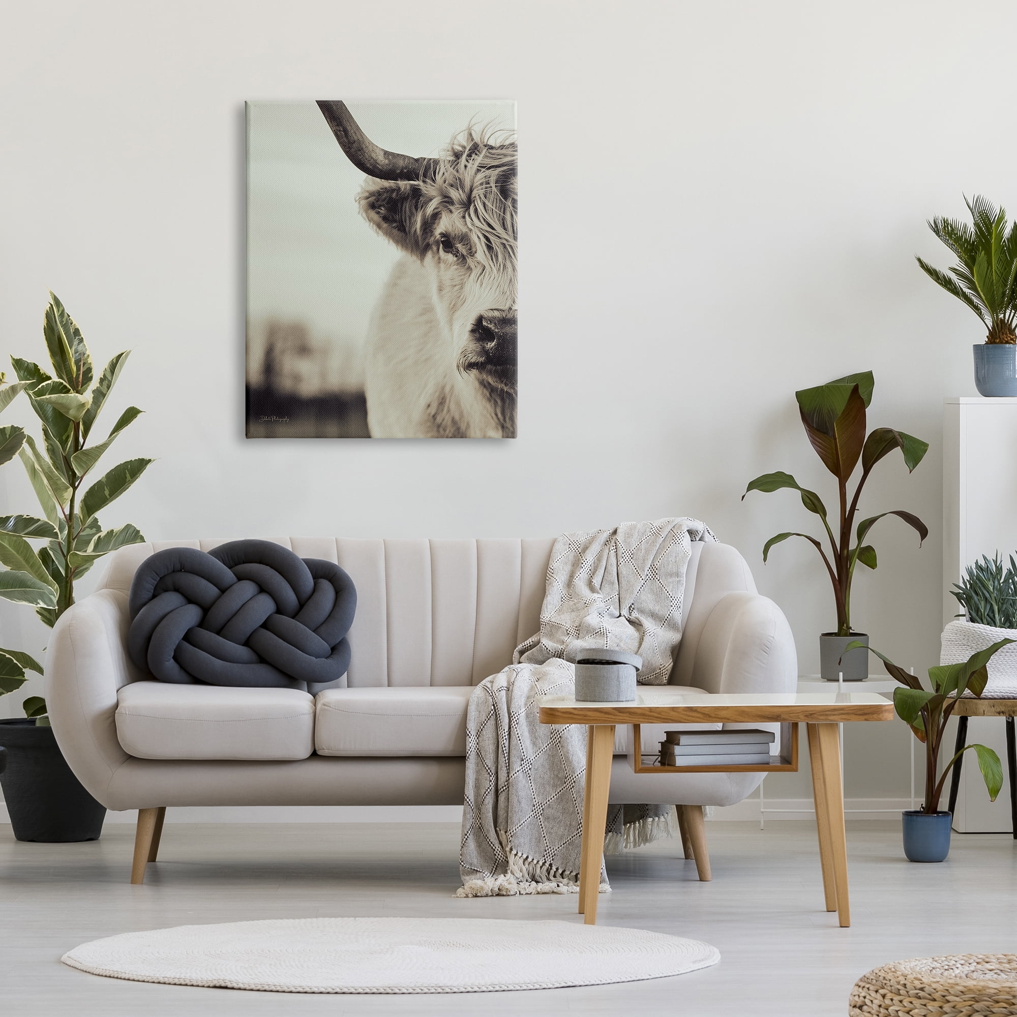 Stupell Industries Highland Cow Face Portrait Animals & Insects Photography Gallery Wrapped Canvas Art Print Wall Art, 30 x 40