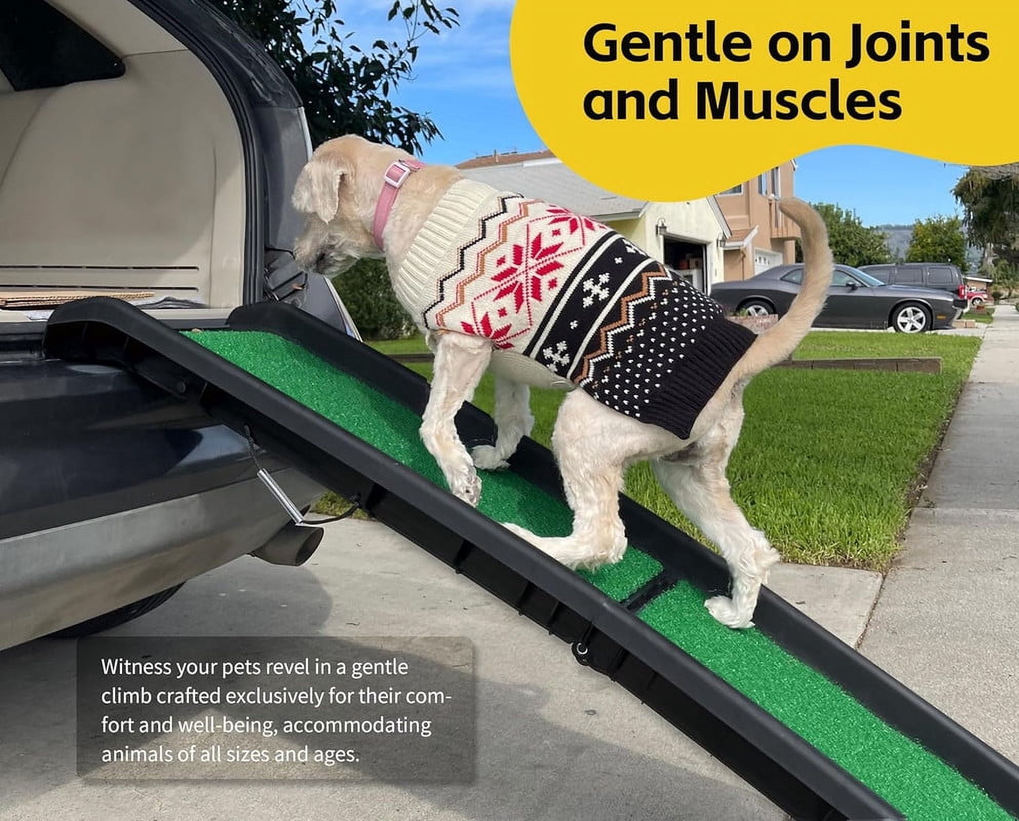 PawStep 51114 Pet Ramp with Poly Grass - Folding, Portable Dog Ramp for Cars, SUV & Trucks - Non-Slip Surface - Lightweight & Durable - Supports Large Dogs up to 200 lbs