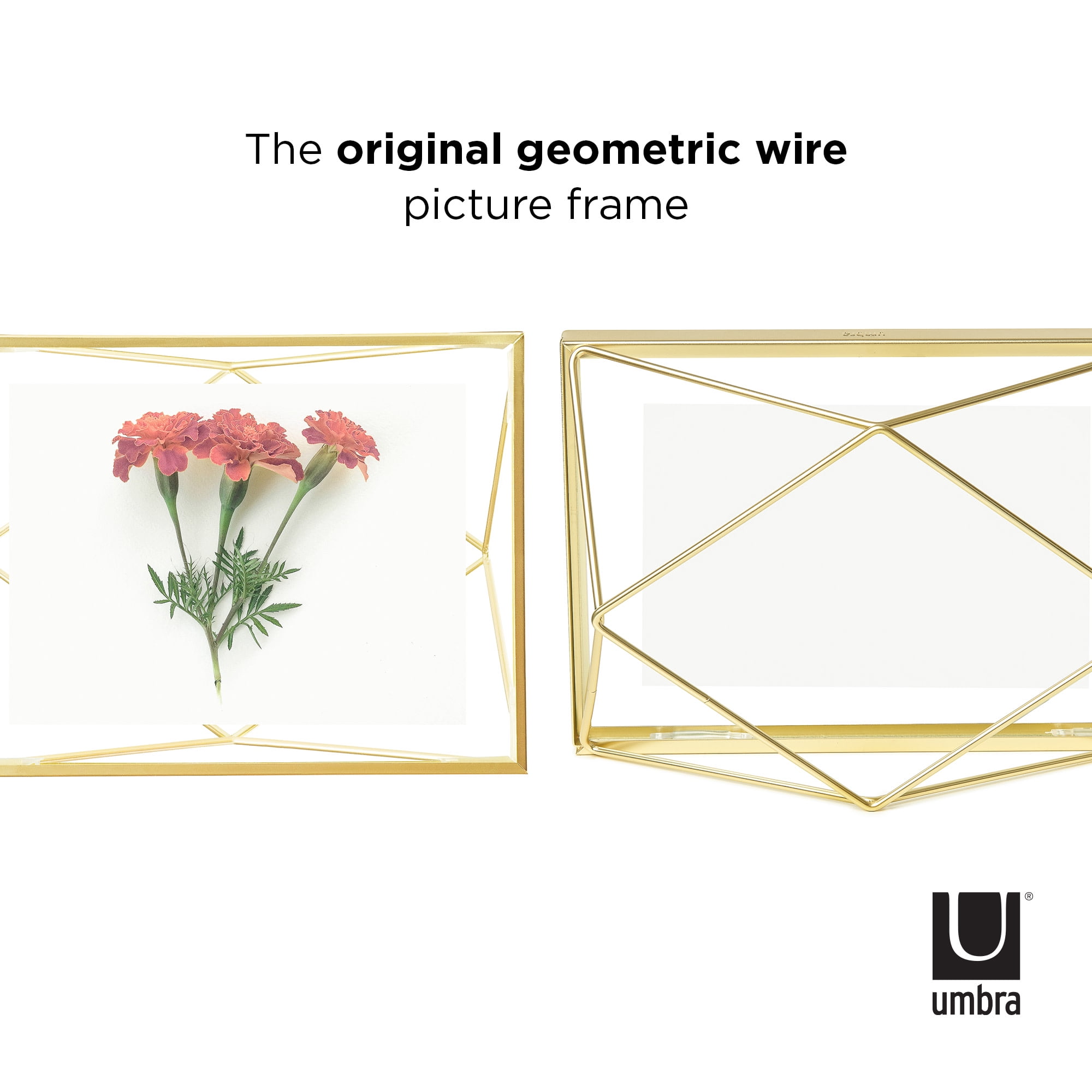Featured image of post Umbra Prisma Frame 4X6