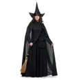 thumbnail image 1 of WICKED WITCH, CH02910-BK-XS, 1 of 2