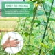 thumbnail image 5 of Red de enrejado para plantas trepadoras 16 X 6 FT Irfora 5*1.8m, 5 of 7