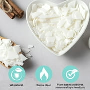 Soy Wax Candle Making Kit Supplies, DIY Art&Crafts Kit for Adults,Beginner,Kids, Including 2lbs Soy Wax Flakes, 100 Candle Wick, 10 Centering Devices, Melting Pot (with Hot Plate)