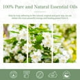 thumbnail image 3 of MAYJAM Jasmine Essential Oil, 30ML, for use with Oil Diffusers, Potpourri, and Wicking Fragrance Diffusers, 3 of 8