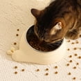 thumbnail image 2 of Stainless Steel Tilted Pet Bowl for Neck Protection, Anti-Tip Elevated Feeding Station for Cats and Dogs, Durable Water and Food Basin Feeder, 2 of 3