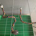 thumbnail image 4 of Graflsoa Colorful Cotton Rope Bird Perch - Adjustable Length for Parrots, Safe Chewable Toy, Cage Climbing Rope (60cm), 4 of 7