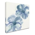 thumbnail image 2 of Trademark Fine Art 'Indigo Mint II' Canvas Art by Chris Paschke, 2 of 3