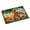 Multicolored, variant on Carolines Treasures PTW2049MAT Golden Retriever Labrador and Basset Hound Sleepy Heads Door Mat Indoor Rug or Outdoor
