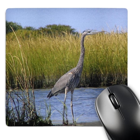 3dRose  Blue Heron  MousePad price history on PriceWatchPro