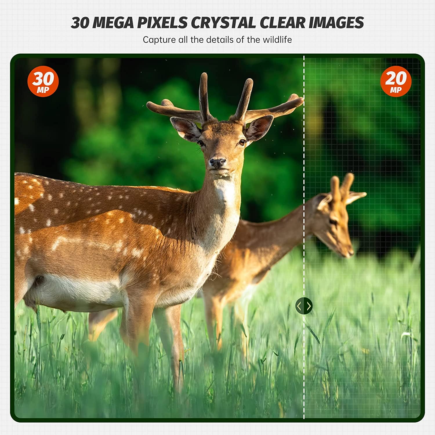 CAMPARK WiFi Bluetooth Trail Camera 30MP 4K Deer Game Camera Night Vision Motion Activated 3 PIR LEDs 120°Wide Lens Hunting Wildlife Camera Waterproof IP66 Hunting Trail Monitors