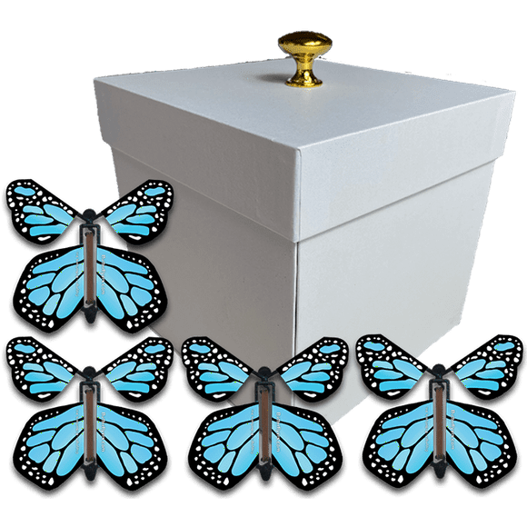 Flying Butterfly Gift Box