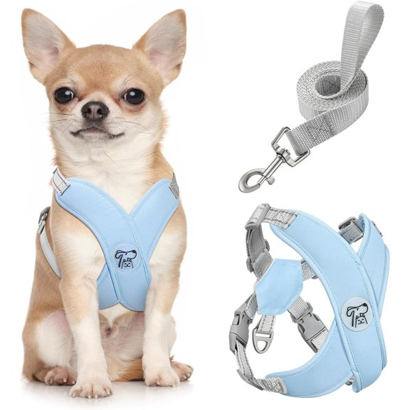 Pawaboo Dog Harness with Leash Set, X-Frame No Pull Pet Harness, Adjustable Choke Free Dog Vest Harness for Small Medium Dogs & Puppies, Breathable Puppy Vest with Leash for Walking Outing (S, Blue)