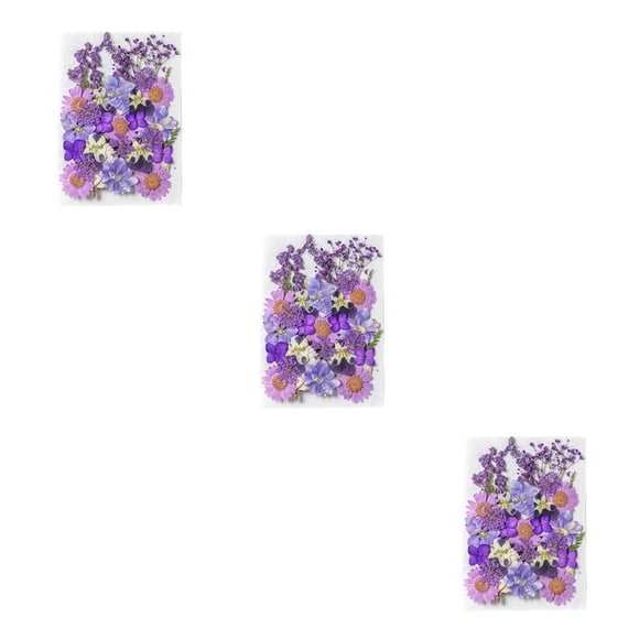 Toystoory Artesanía de flores secas naturales Adorno floral prensado Flores en relieve Plantas conservadas Decorativas para maquillaje facial Type4 NO4