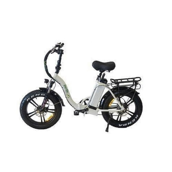 Life Fitness RS1 Recumbent Indoor Cycling Exercise Bike with Go Console