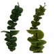 thumbnail image 4 of Planta artificial simulación de flores artificiales hoja de eucalipto decoración de boda para un solo hogar adorno arreglo floral (verde*30) ILoveMilan JM, 4 of 4