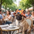thumbnail image 4 of Pet Sun Hat with Ear Holes Adjustable Chin Strap Breathable Outdoor Headwear for Cats and Small Dogs Summer Travel 16.5 Inch, 4 of 6