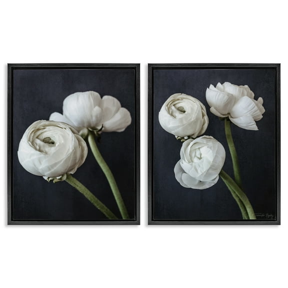 Stupell Industries Simple Black & White Peony Plants & Flowers Photography Black Floater Framed Canvas Art Print Wall Art, 17 x 21, Set of 2