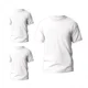 thumbnail image 1 of Pack 3 Pzs Playera Caballero Cuello Redondo Algodon Mcorta, 1 of 5