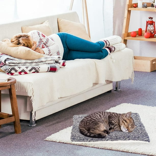 Heated cat bed walmart 2025