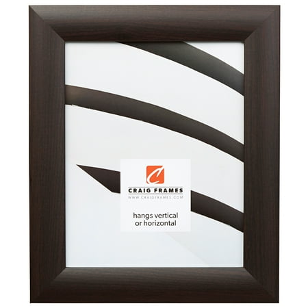 Brazilian Walnut - Craig Frames Fiftyeight, Contemporary Brazilian Walnut Picture Frame, 24x24 Inch
